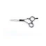 Comprar Tijera de corte Dry Cut Silver AG